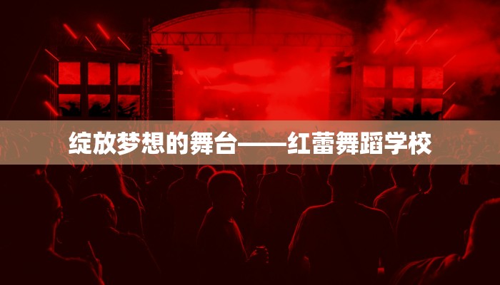 绽放梦想的舞台——红蕾舞蹈学校