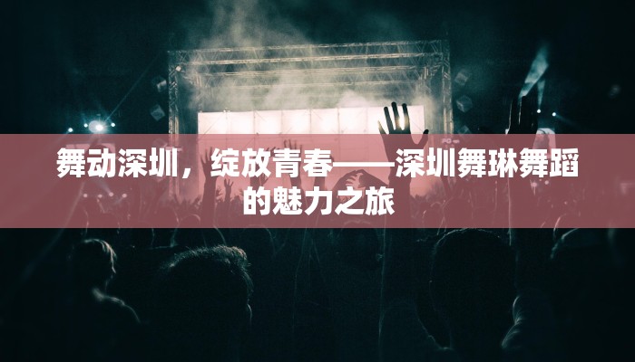 舞动深圳，绽放青春——深圳舞琳舞蹈的魅力之旅