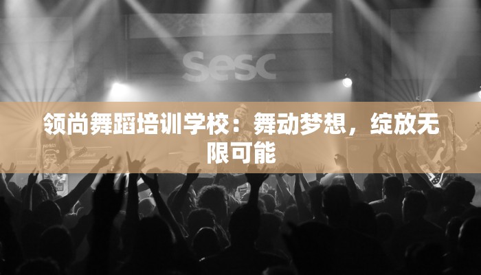 领尚舞蹈培训学校：舞动梦想，绽放无限可能