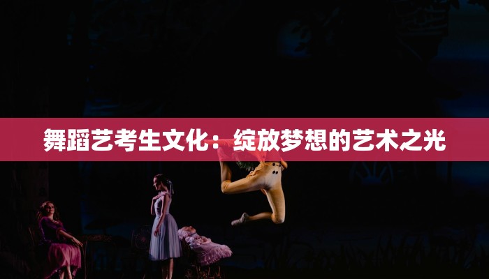 舞蹈艺考生文化：绽放梦想的艺术之光