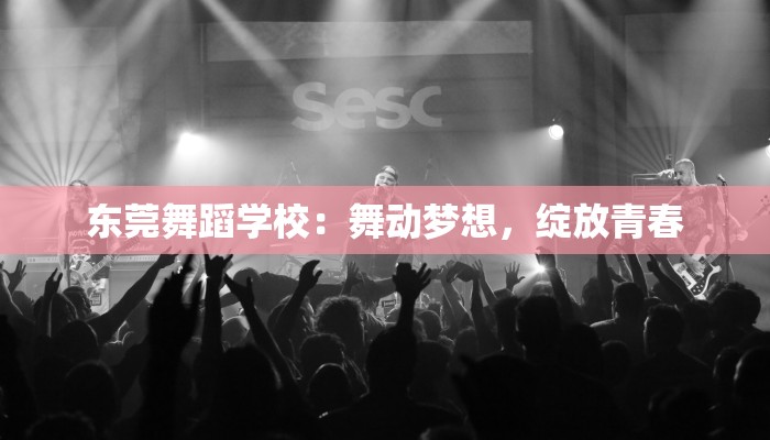 东莞舞蹈学校：舞动梦想，绽放青春
