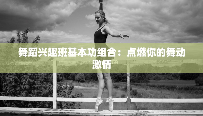 舞蹈兴趣班基本功组合：点燃你的舞动激情