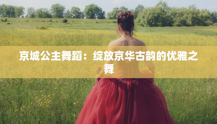 京城公主舞蹈：绽放京华古韵的优雅之舞