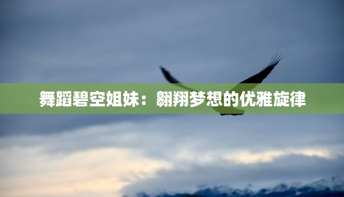 舞蹈碧空姐妹：翱翔梦想的优雅旋律