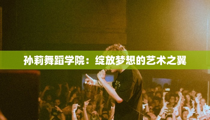 孙莉舞蹈学院：绽放梦想的艺术之翼