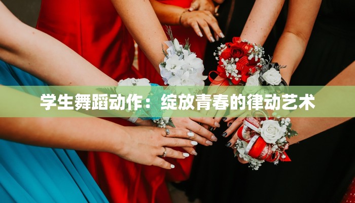 学生舞蹈动作：绽放青春的律动艺术