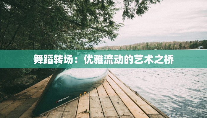舞蹈转场：优雅流动的艺术之桥