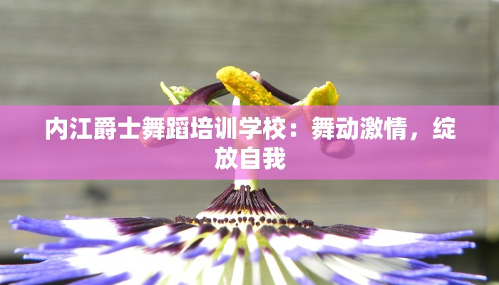 内江爵士舞蹈培训学校：舞动激情，绽放自我