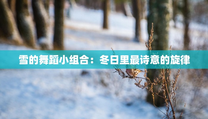 雪的舞蹈小组合：冬日里最诗意的旋律