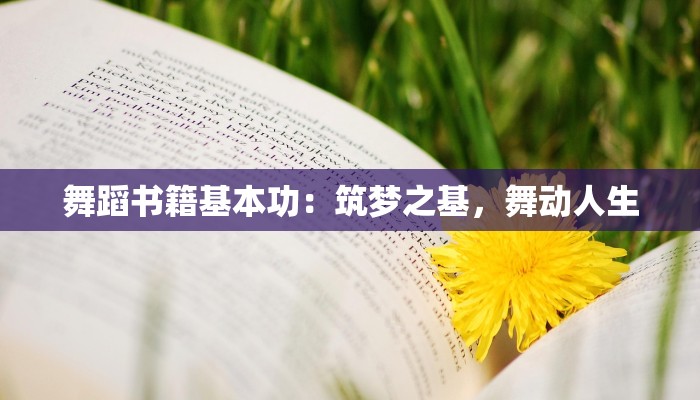 舞蹈书籍基本功：筑梦之基，舞动人生