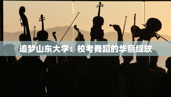 追梦山东大学：校考舞蹈的华丽绽放