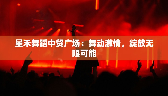 星禾舞蹈中贸广场：舞动激情，绽放无限可能