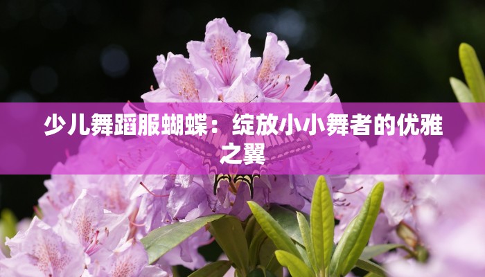 少儿舞蹈服蝴蝶：绽放小小舞者的优雅之翼