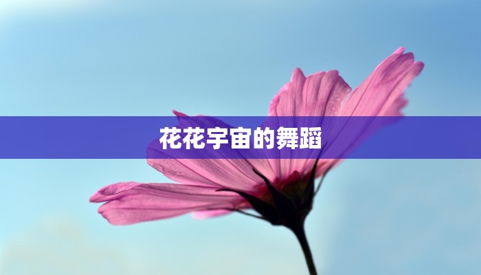 花花宇宙的舞蹈