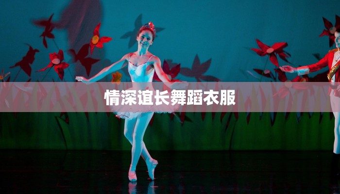 情深谊长舞蹈衣服