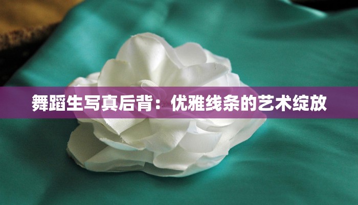 舞蹈生写真后背：优雅线条的艺术绽放