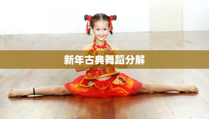 新年古典舞蹈分解