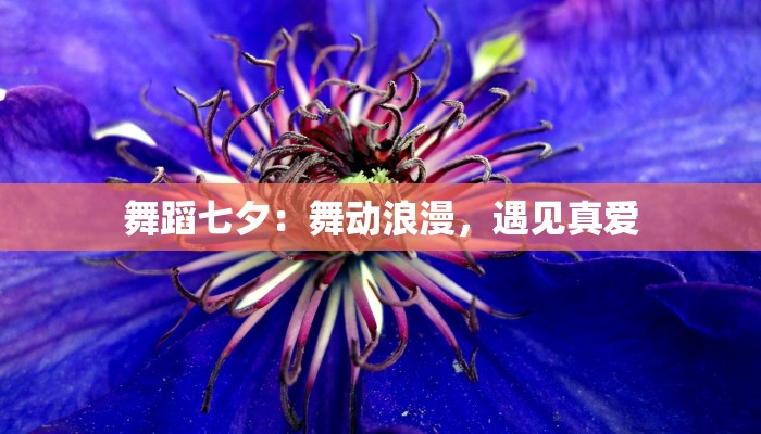 舞蹈七夕：舞动浪漫，遇见真爱