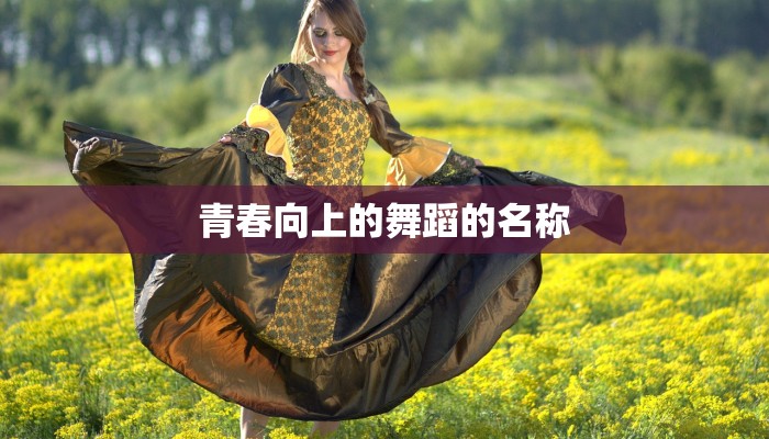 青春向上的舞蹈的名称 青春向上的舞蹈的名称