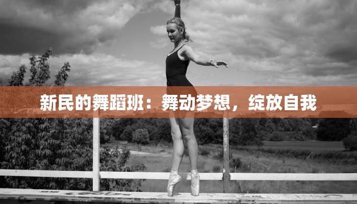 新民的舞蹈班:舞动梦想,绽放自我 新民的舞蹈班:舞动梦想,绽放自我