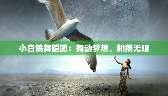 小白鸽舞蹈团：舞动梦想，翱翔无限