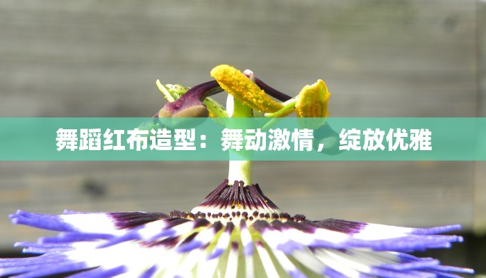 舞蹈红布造型：舞动激情，绽放优雅