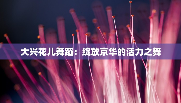 大兴花儿舞蹈：绽放京华的活力之舞