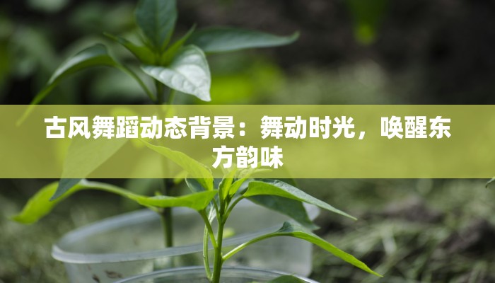 古风舞蹈动态背景：舞动时光，唤醒东方韵味