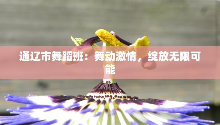 通辽市舞蹈班：舞动激情，绽放无限可能