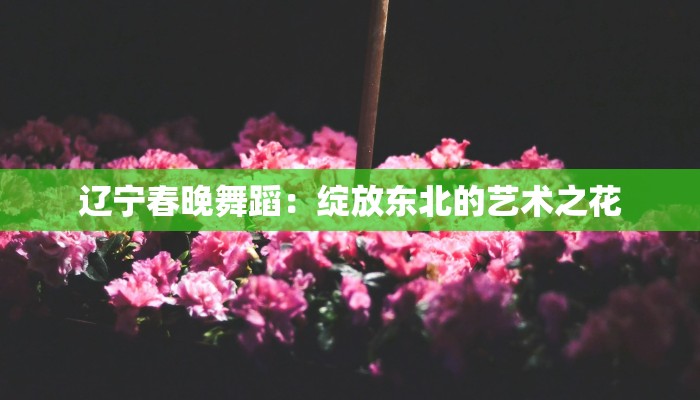 辽宁春晚舞蹈：绽放东北的艺术之花