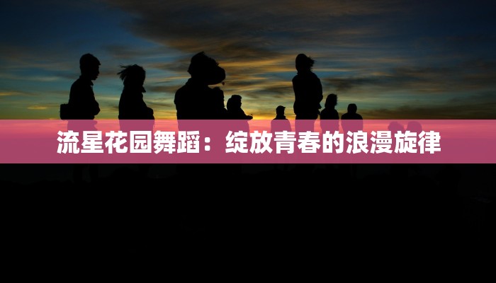 流星花园舞蹈：绽放青春的浪漫旋律