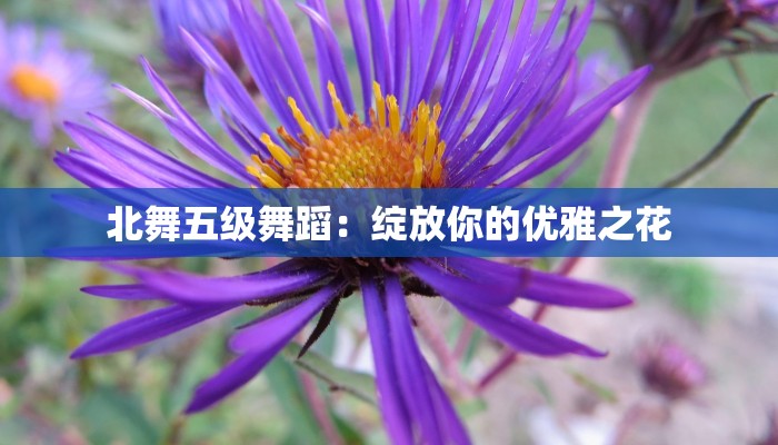 齐齐哈尔富区特色美食：黑土地上的味蕾盛宴