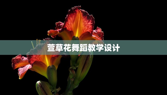 萱草花舞蹈教学设计