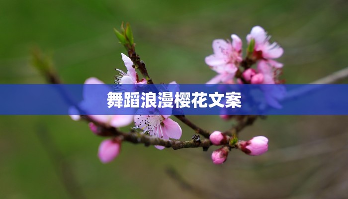 舞蹈浪漫樱花文案