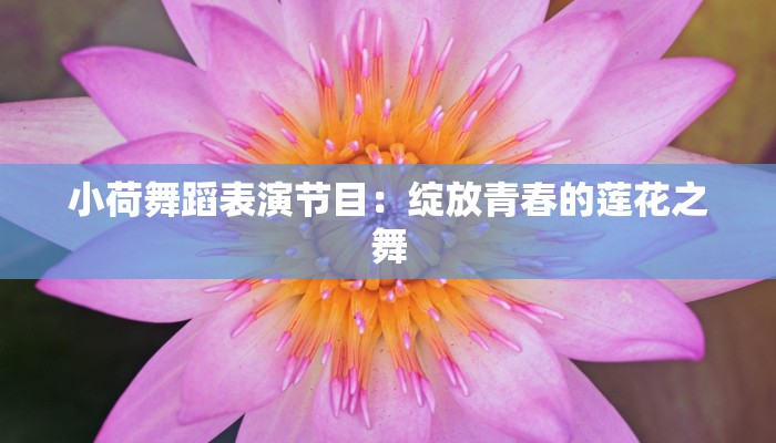 小荷舞蹈表演节目：绽放青春的莲花之舞