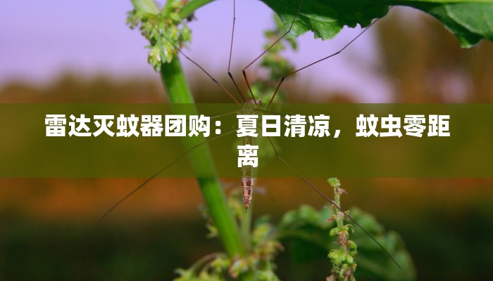 雷达灭蚊器团购：夏日清凉，蚊虫零距离