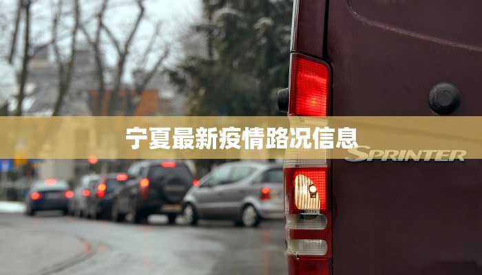宁夏最新疫情路况信息
