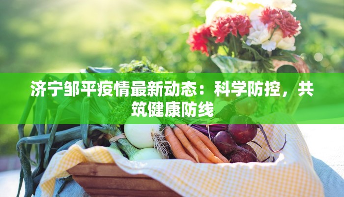 济宁邹平疫情最新动态：科学防控，共筑健康防线