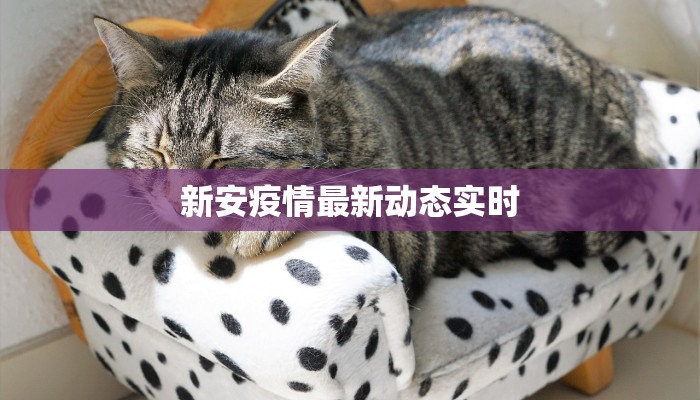 新安疫情最新动态实时