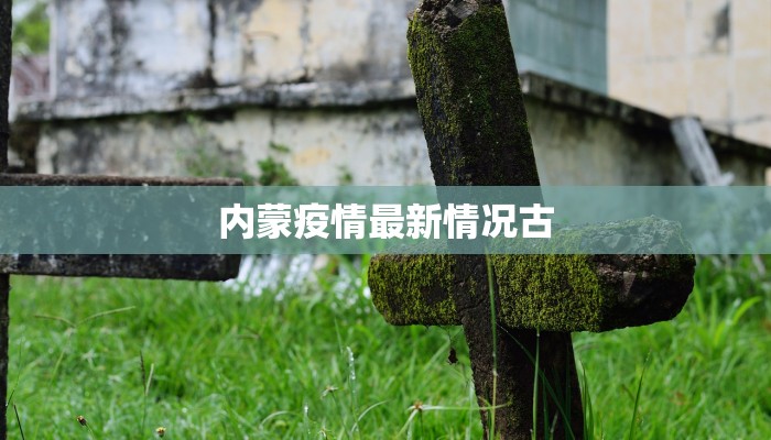 内蒙疫情最新情况古