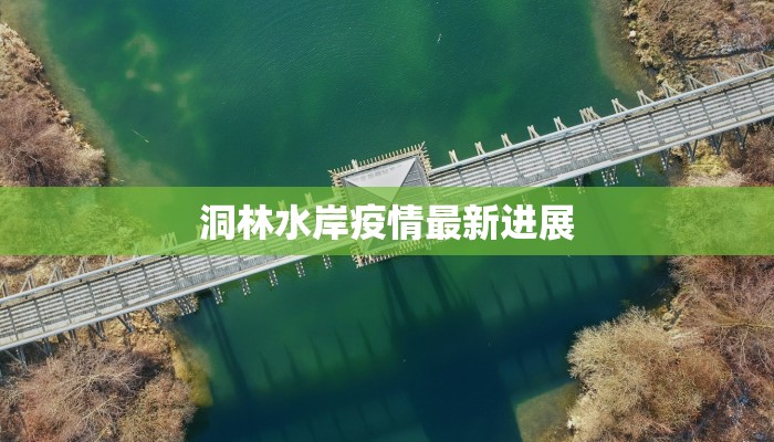 洞林水岸疫情最新进展