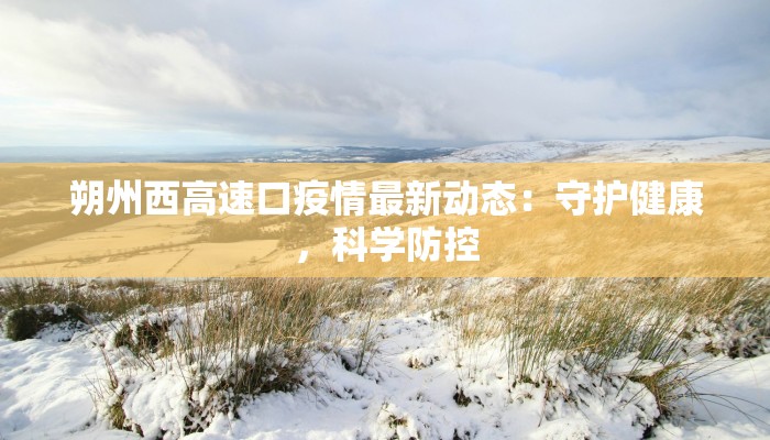 朔州西高速口疫情最新动态：守护健康，科学防控
