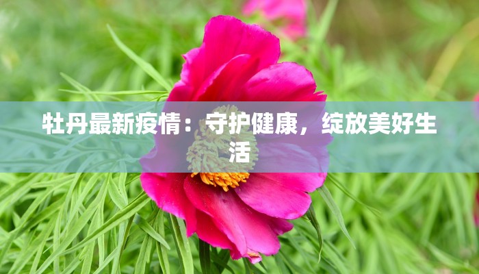 牡丹最新疫情：守护健康，绽放美好生活