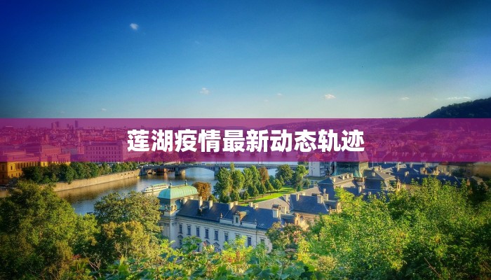 莲湖疫情最新动态轨迹