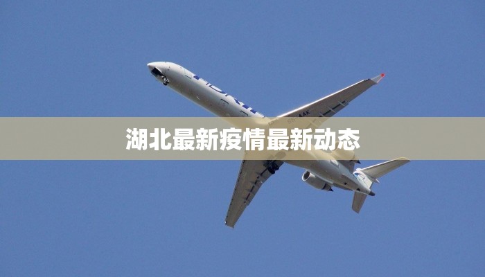 湖北最新疫情最新动态