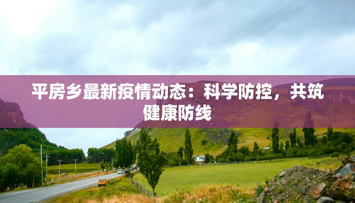 平房乡最新疫情动态：科学防控，共筑健康防线