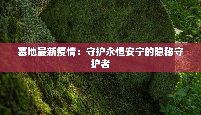 墓地最新疫情：守护永恒安宁的隐秘守护者