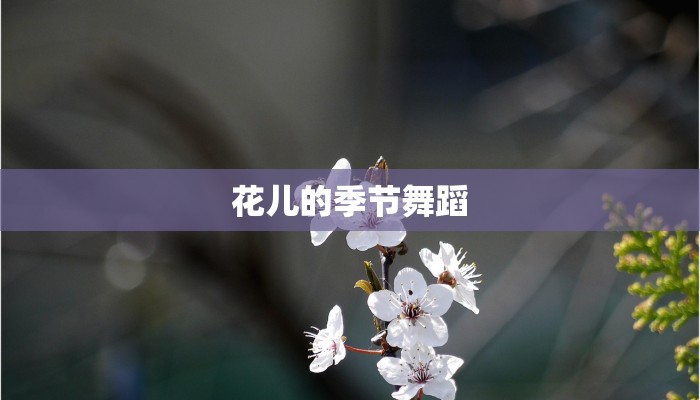 花儿的季节舞蹈