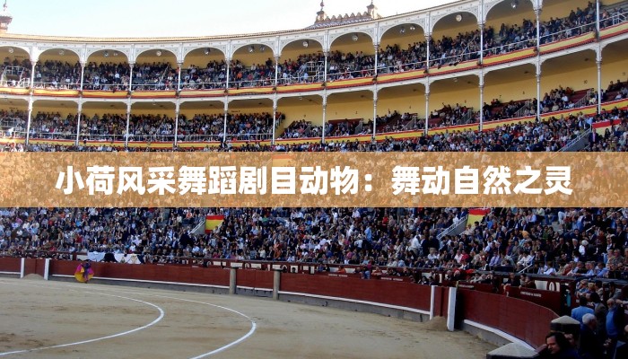 小荷风采舞蹈剧目动物：舞动自然之灵
