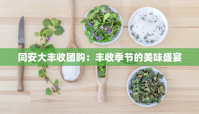 同安大丰收团购：丰收季节的美味盛宴